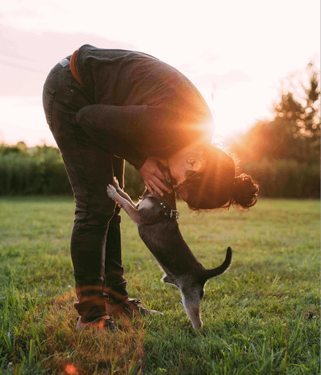 puppy zindelijk maken uitlaten